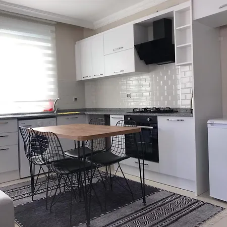 Apartmán Coskunsu Homes